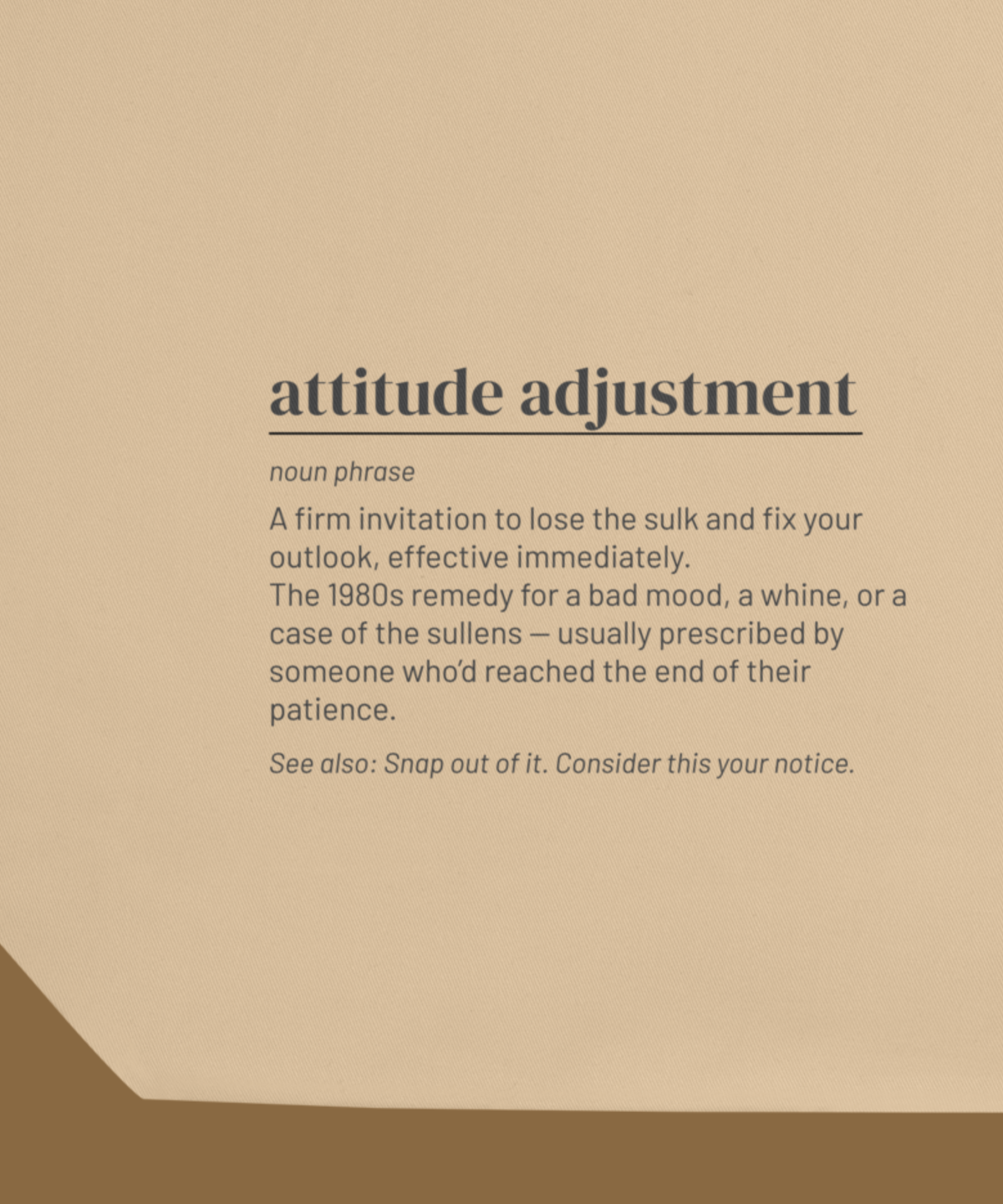 Attitude Adjustment — 80s Slang Definition Tote Bag, Gen X Gift, Retro Humor Canvas Bag