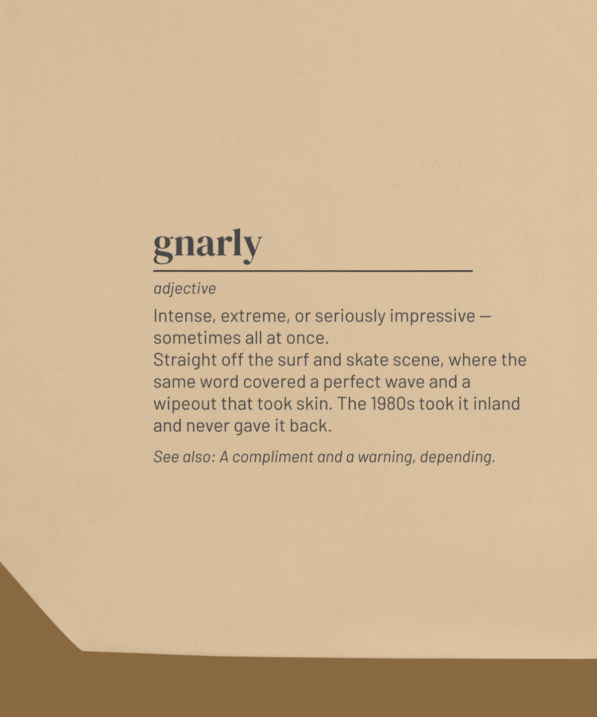 Gnarly — 80s Slang Definition Tote Bag, Gen X Gift, Retro Surfer Skater Canvas Bag