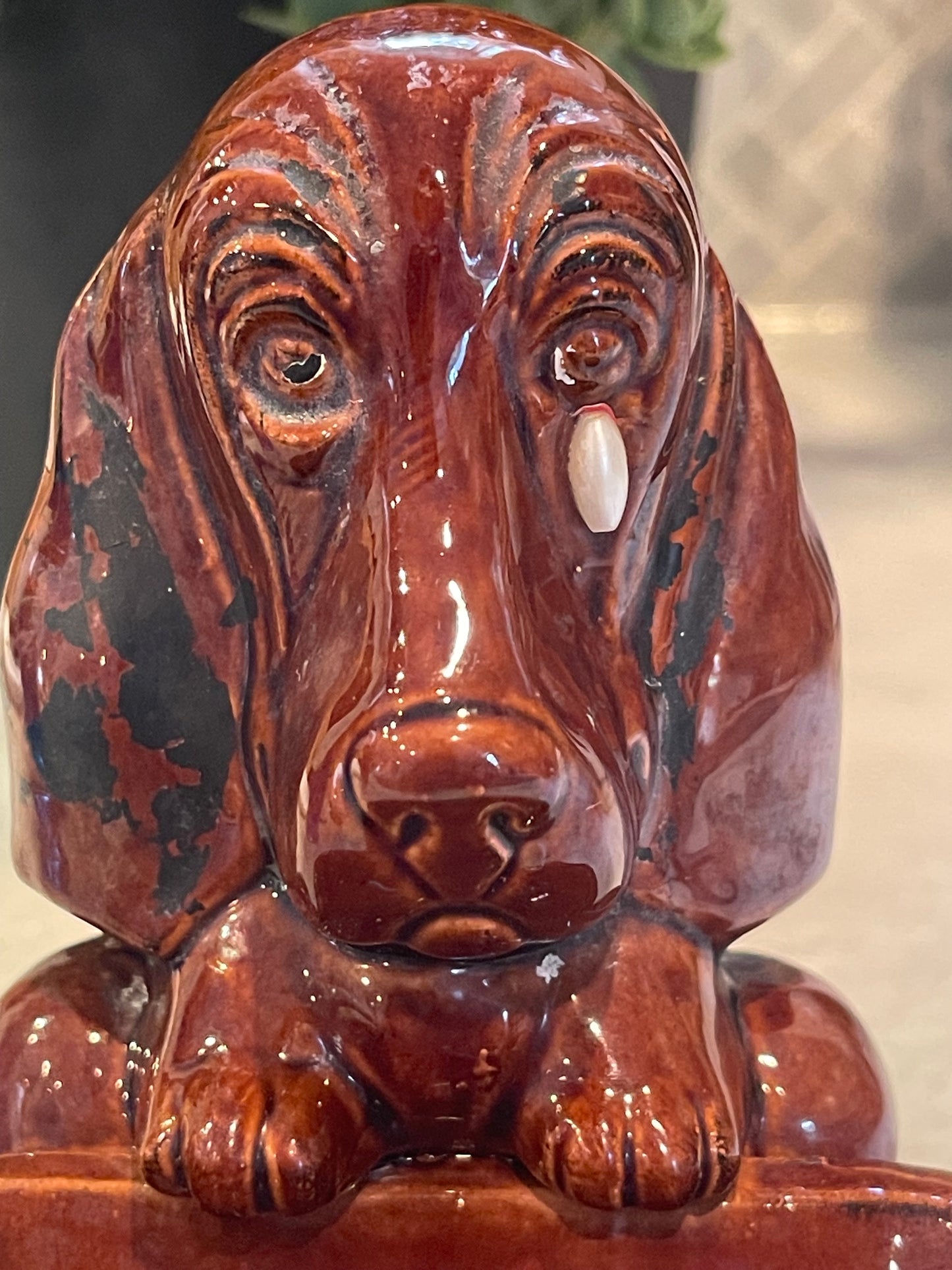 Haus Finds No. 006 – The Sinkside Companion